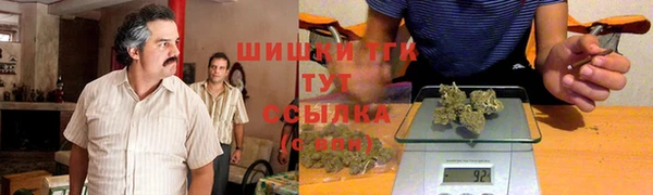 твердый Алзамай