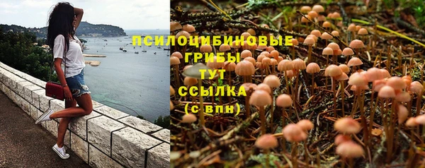 кокаин колумбия Алексин